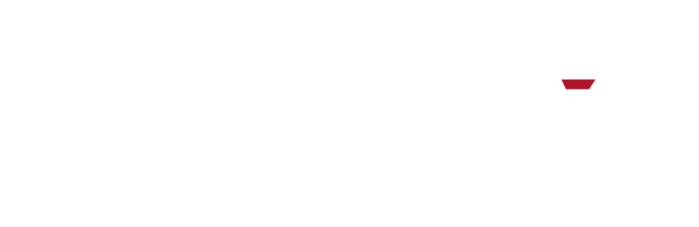 Securitas_landing_banner